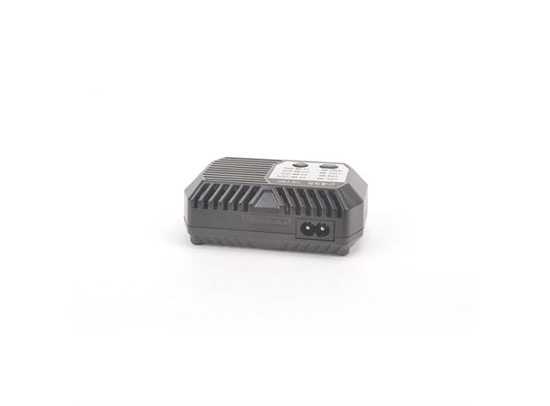 SkyRc E455 LiPo/Life/NiMh Lader 2-4S 50W  230V