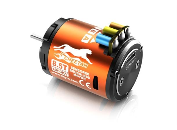 SkyRC Cheetah 60A 1/10 BL Sensor sett 2-3s   8.5T  4000KV