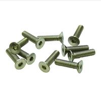 M2x6mm Flat Head Screw (10 Stk) UR161206