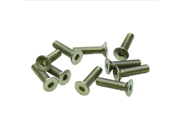 M2x6mm Flat Head Screw (10 Stk) UR161206