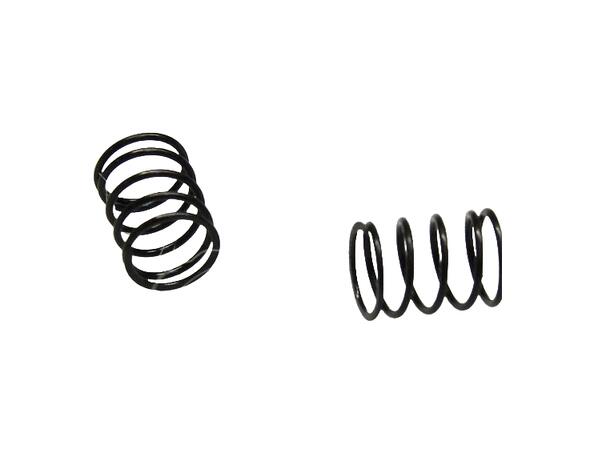 CRC- Front Springs 0.55mm (2) 3031