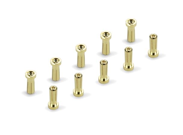 HUDY Golden Bullet 5mm (10)
