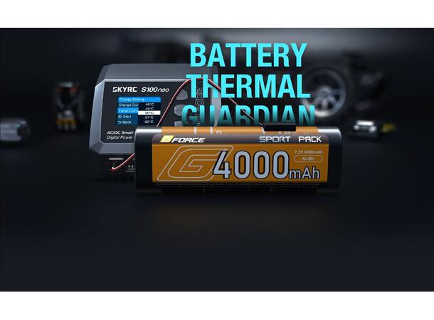SkyRC S100 Neo  Computerlader AC100W/DC200W